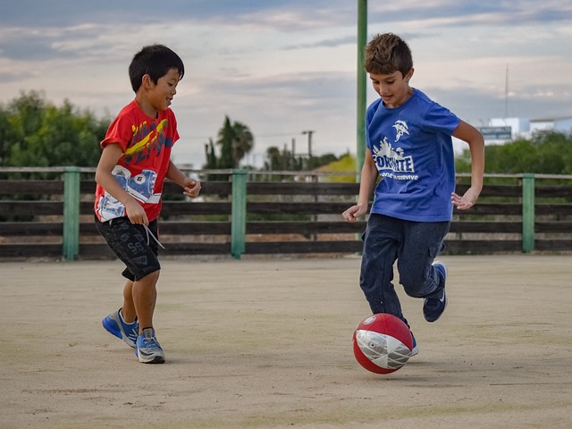 平台和虚拟 平台和虚拟